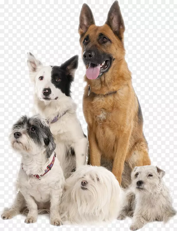 ����������Ȯ�Ĵ���������Ȯѵ��Ȯ��������-è-������