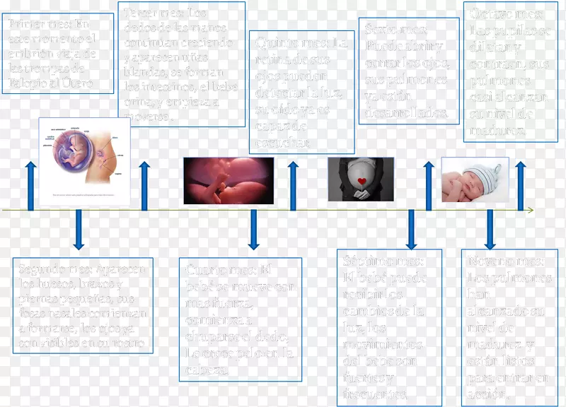 ��������ѧ����̥��������̥ѧ������-������