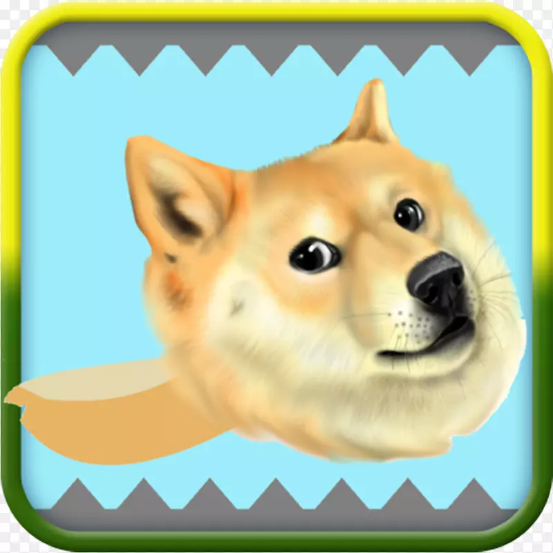 Shiba Inu����Spitz flappy doge����android-android-������