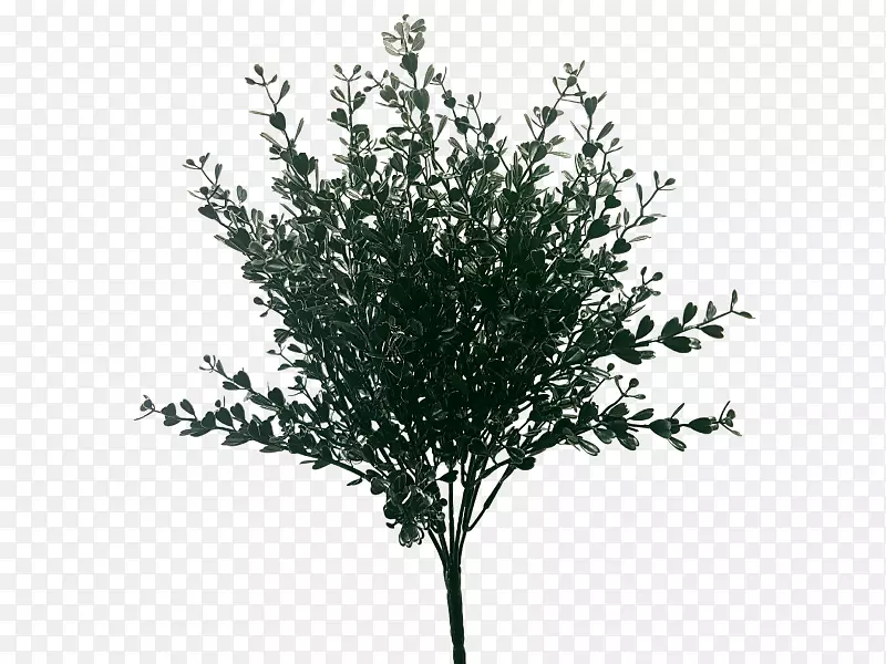 ��ľ�˹�����ֲ��jmc���ܻ���-������