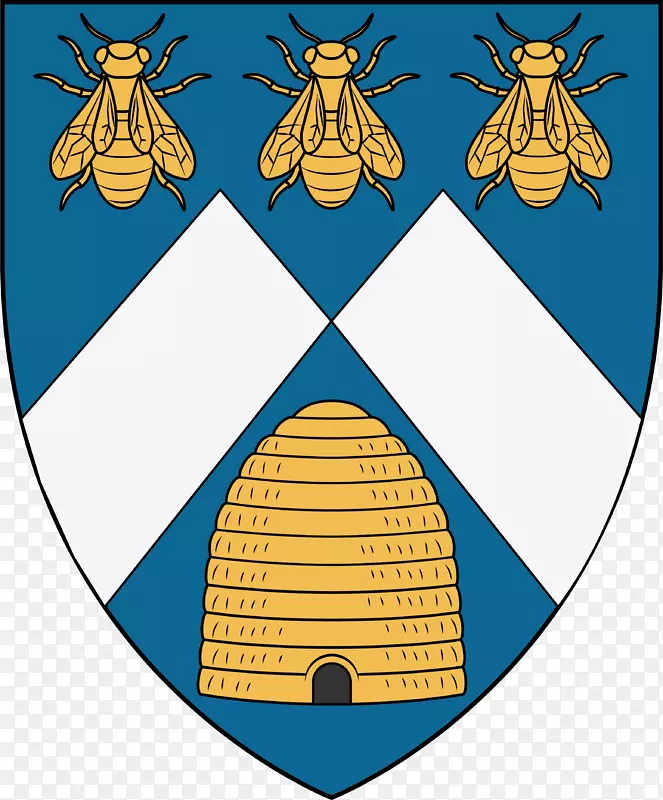 �����������-������