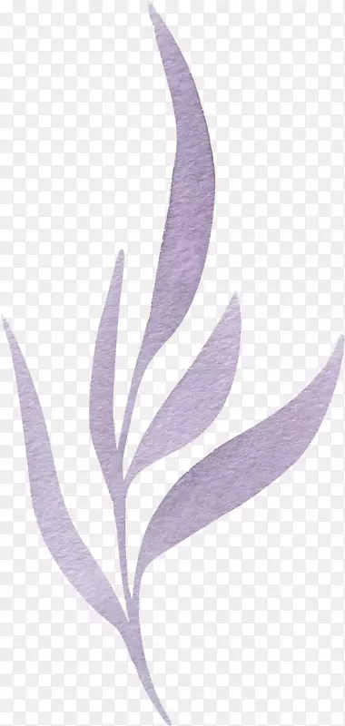 ˮ�ʻ�-������