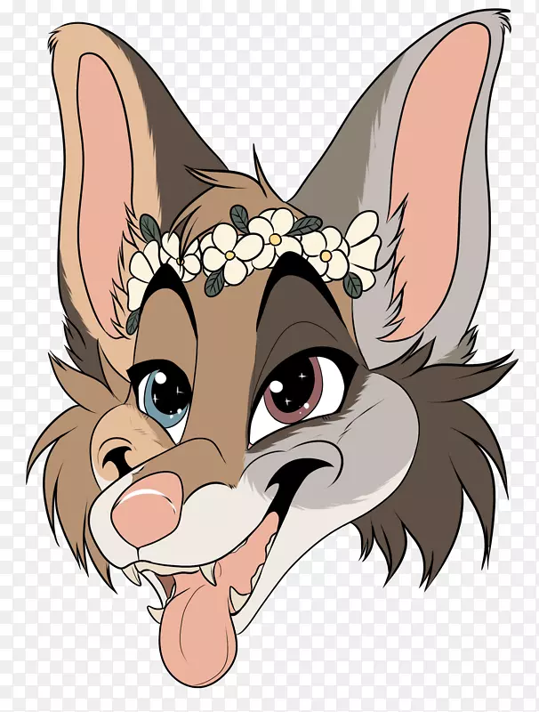 ����è���ӹ�è-������