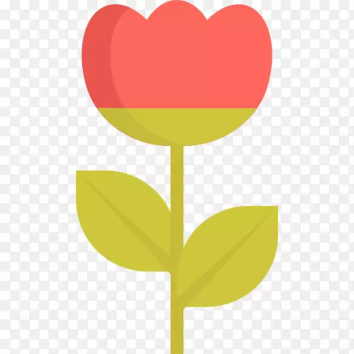 ����Ҷֲ�ﾥ����ֲ�������-������