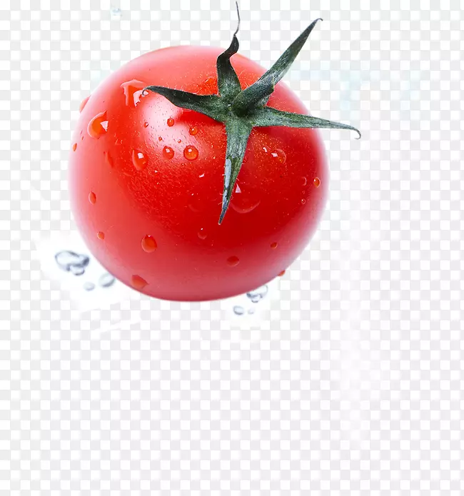 ���ӷ��Ѻ컨��-����-������