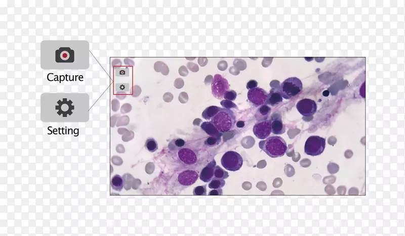 ��������ݹ���cmos�ı��ļ������-������