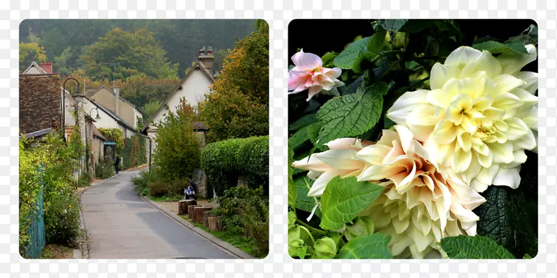 ��������л�������԰С��������-������