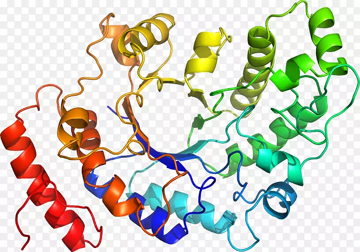 �����鱦�л��������.�鱦-������