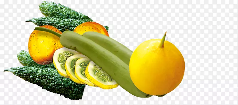 ����֭�л�ʳƷ�ļ��Ϲ�֭-������