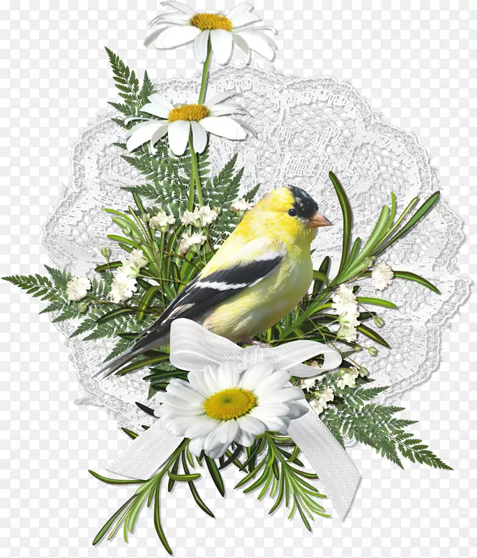 ���Ĳ��ͺ쾰��-������