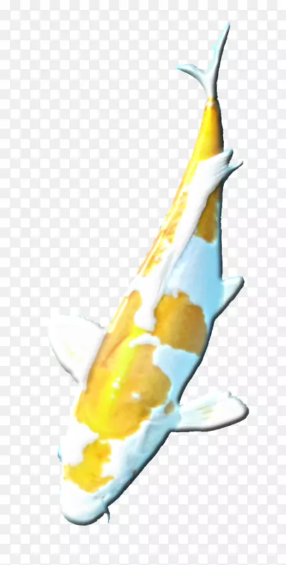 ������-���-������