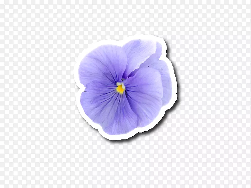 ��Ӱ������pansy��ֽ����-������