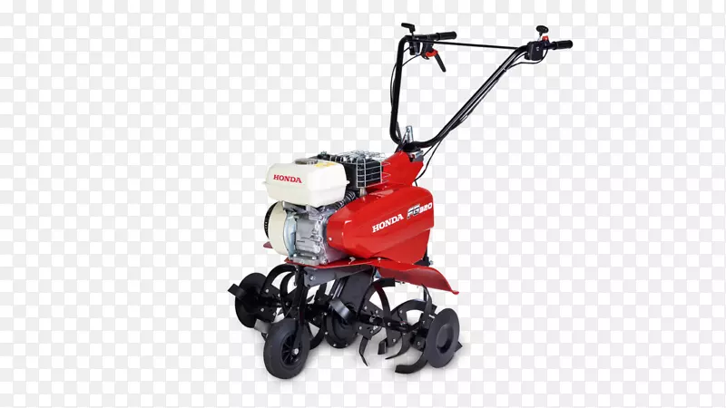 ����Ħ������Ħ�г�������������԰-����-������