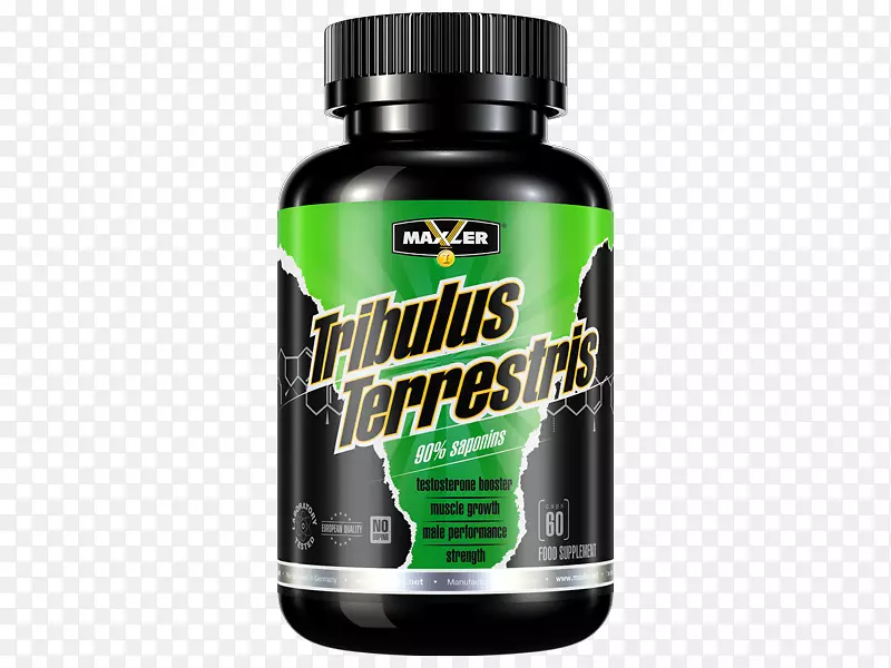 ���ᾫ���������ᰱ���ἤ��-������