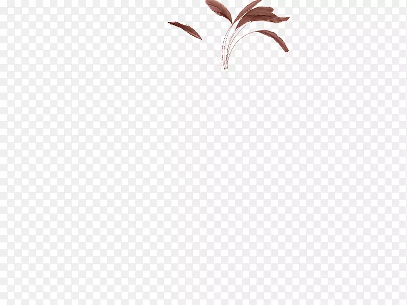 �����ֽ������յ����������-������