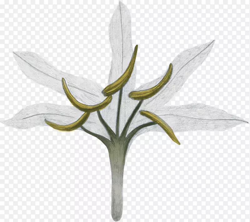 �����ȿ���������ӰԺ���ȵ�-����-������