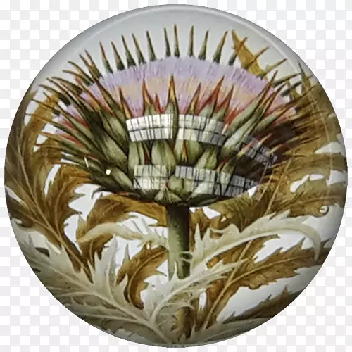 ֽ�ʲ������Ͳ;�-��ҩĵ��-������