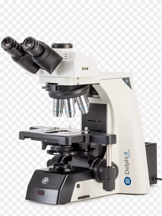 ������΢����ѧ��Ŀ����΢��-������