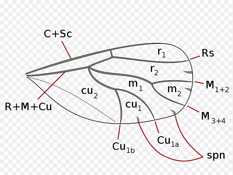 ��������Ծֲ��ʭ��ư�涯��-������