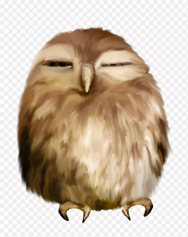 èͷӥ������������-èͷӥ-������