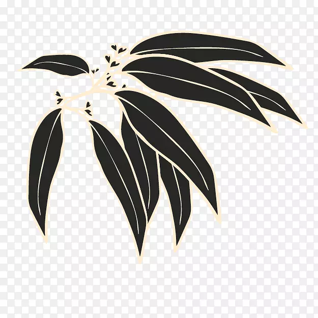 ֲ��-ֲ��-������