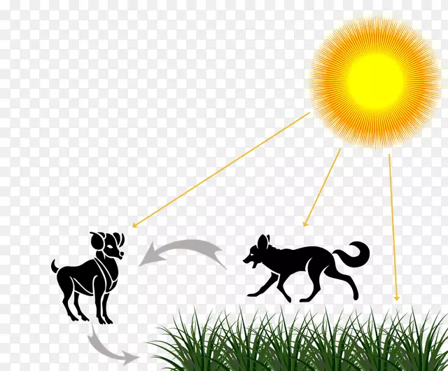 ��ѧ��ʵ���Ұ׾�����������ô�-��ѧ-������