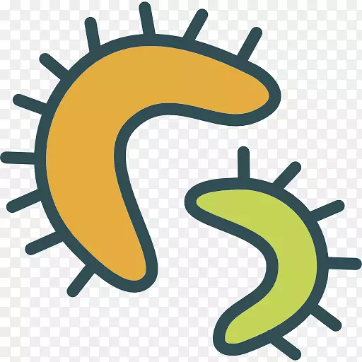 �󳦾�Ⱥϸ��΢�����ѧ-ë״������ϸ��PNG��PSD-������