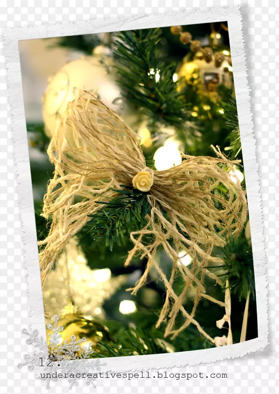 ʥ����װ��֧-ʥ����-������