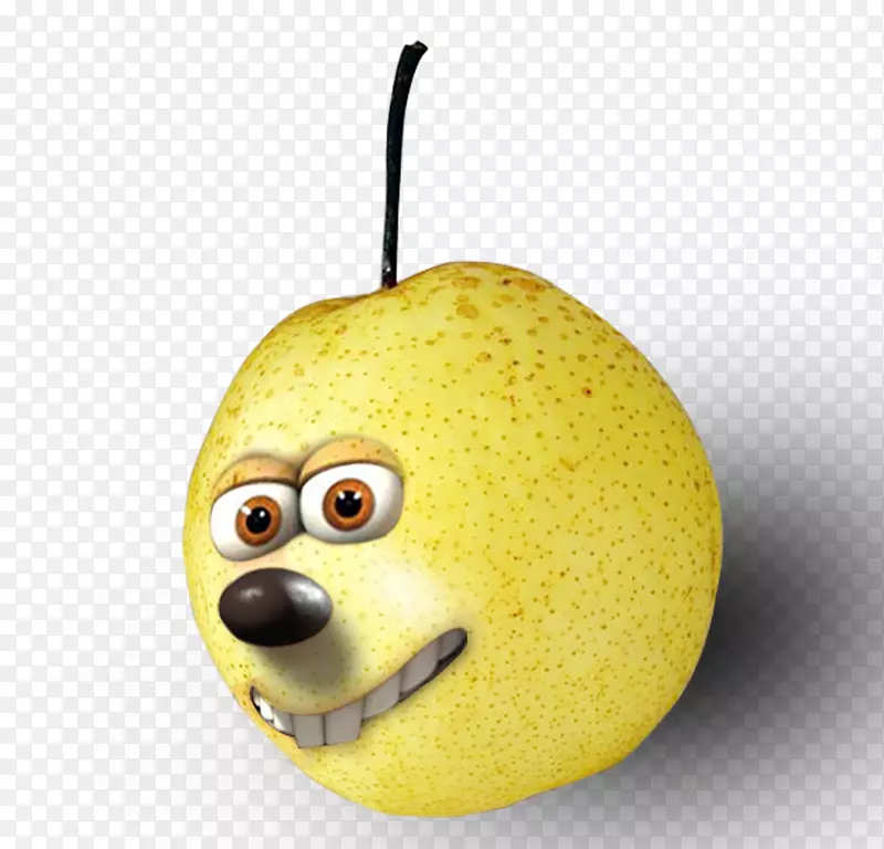 ŷ����Ʊǹ���(Pyrus Xd 7 Bretschneideri)-�۾����Ӻ����ϵ��档-������