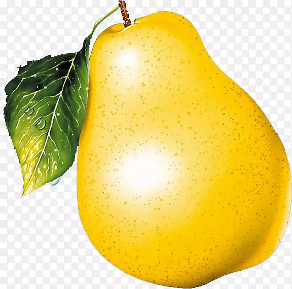 ������ŷ����ˮ��ʳƷ-��-������