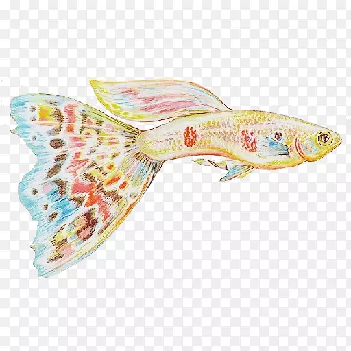 �����������-������