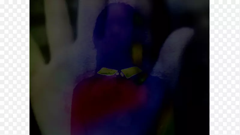 ��ָ����������-������