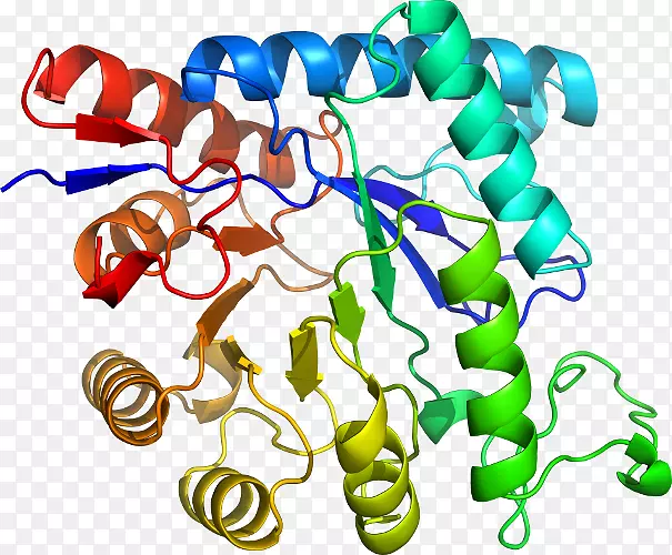 �����鱦���л����������-������