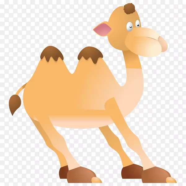 ѧǰ������������-������