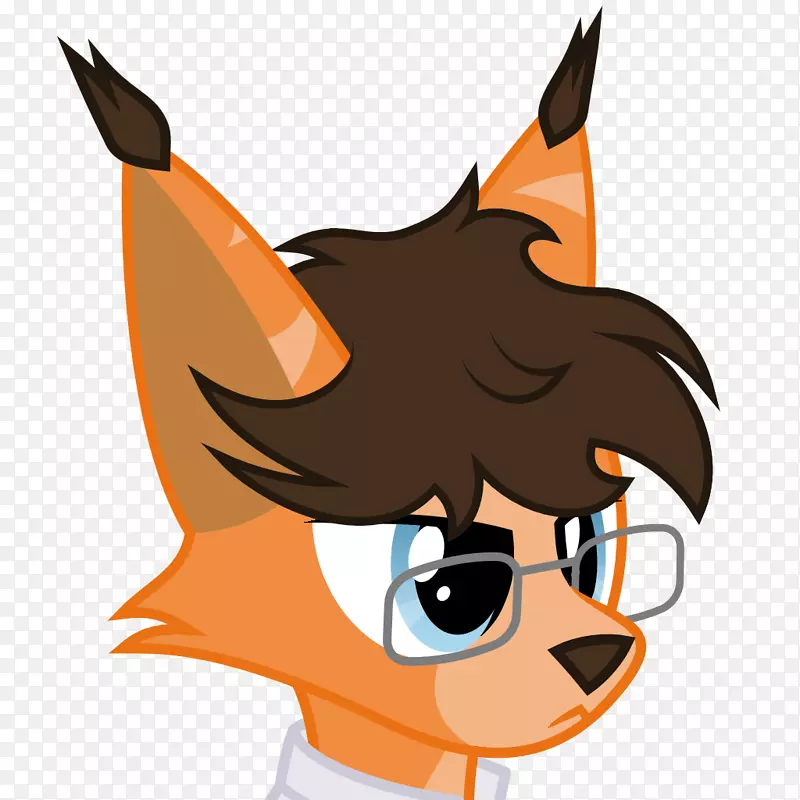 ���빷����һֻ������˹��β�����������-������