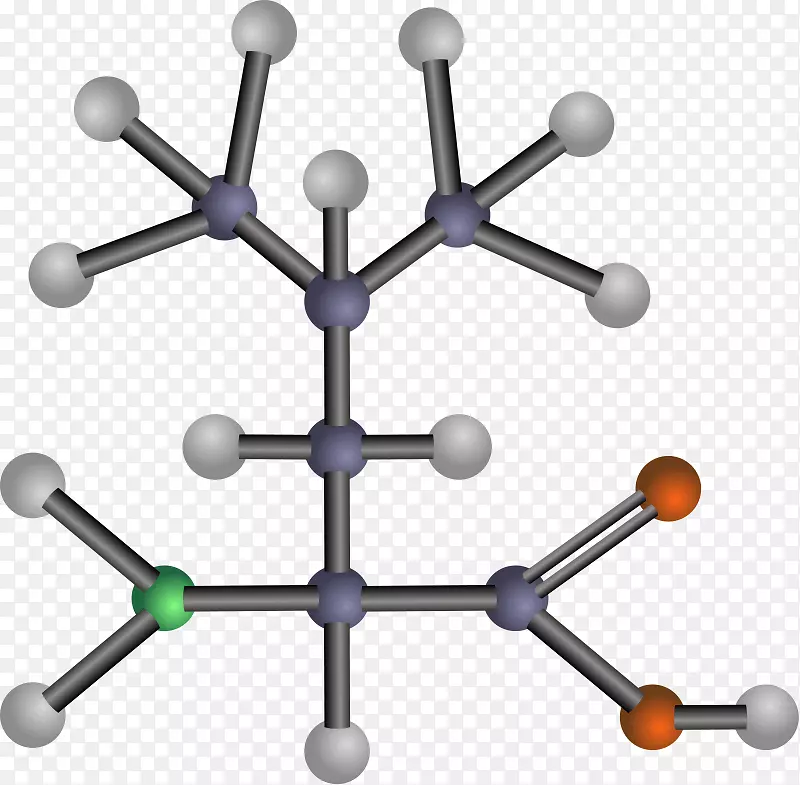 �����ᰱ�����������-������