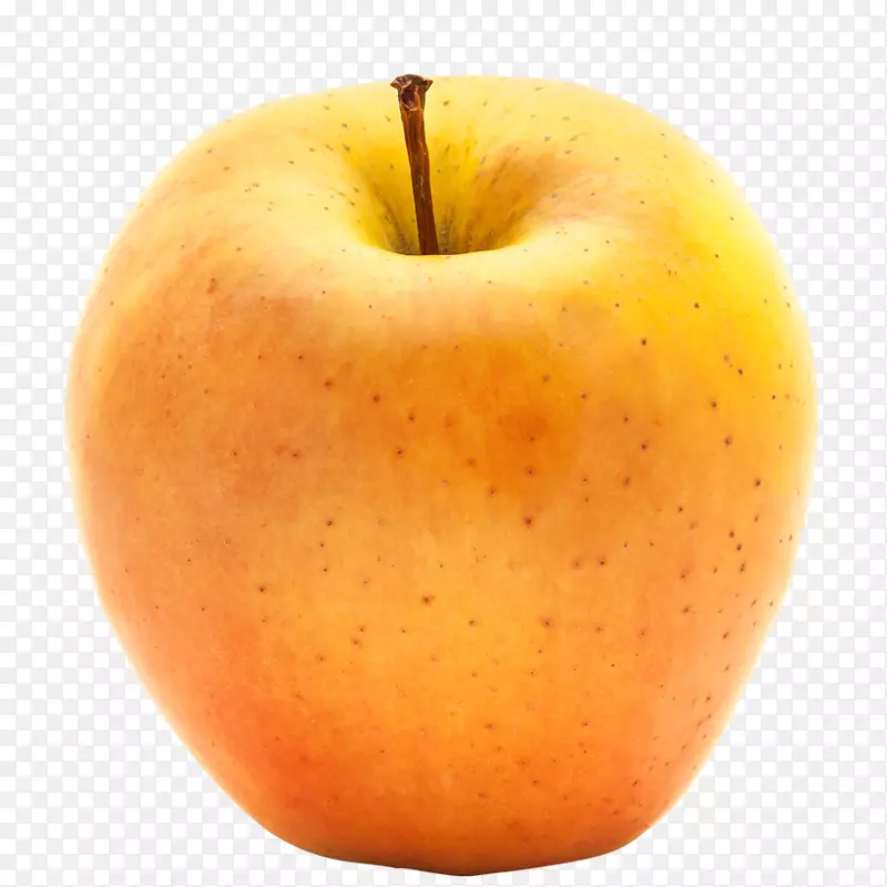 ��ʳʳƷƻ��-ƻ��-������