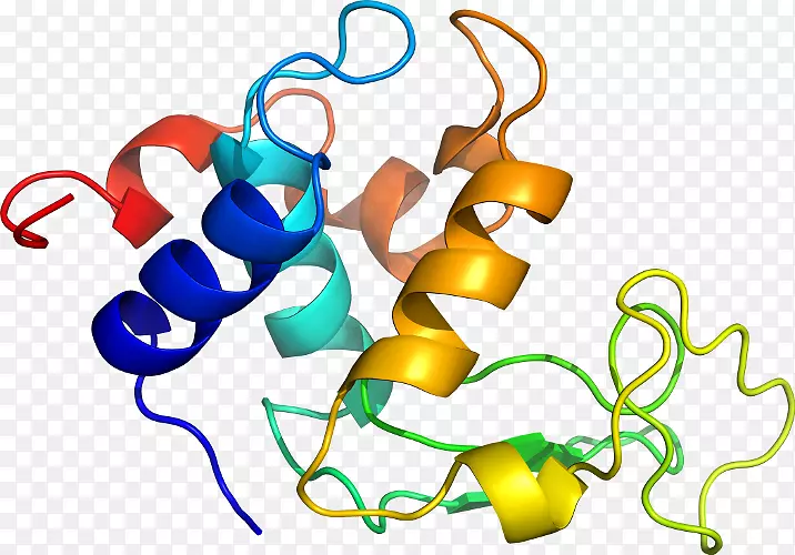 �����鱦������.���-������