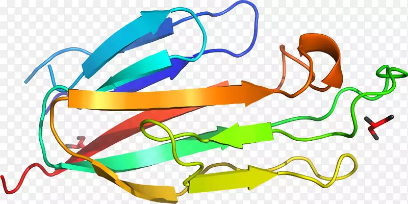 �ߵ������-��-������