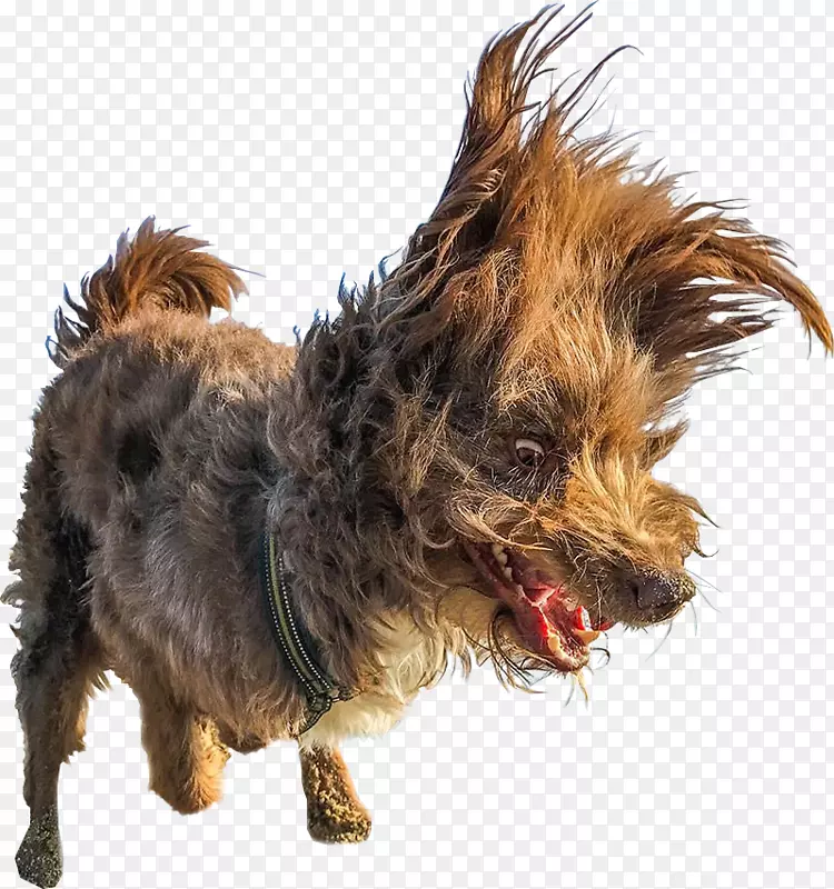 ϲ��Ұ��������Ӱ����Ӱʦ��-������