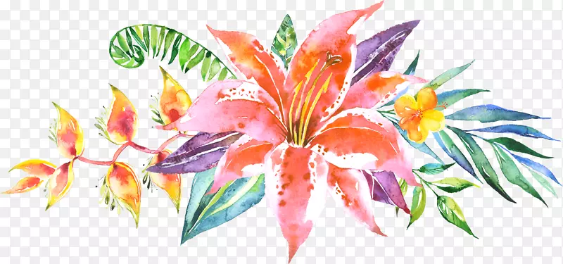 �������ˮ�ʻ��������뺯ˮ�ʻ��׻�-������