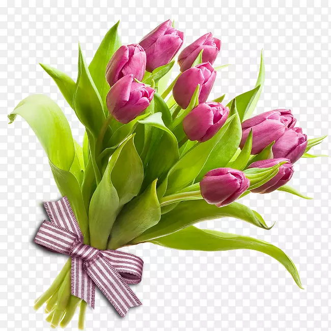 ��������������-��-������