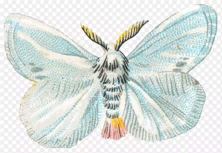 ɱ��������΢������-���������Ծ-������