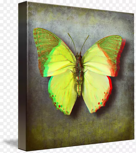 �߽ڵ�-������