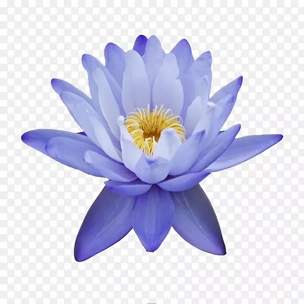 ��������-������