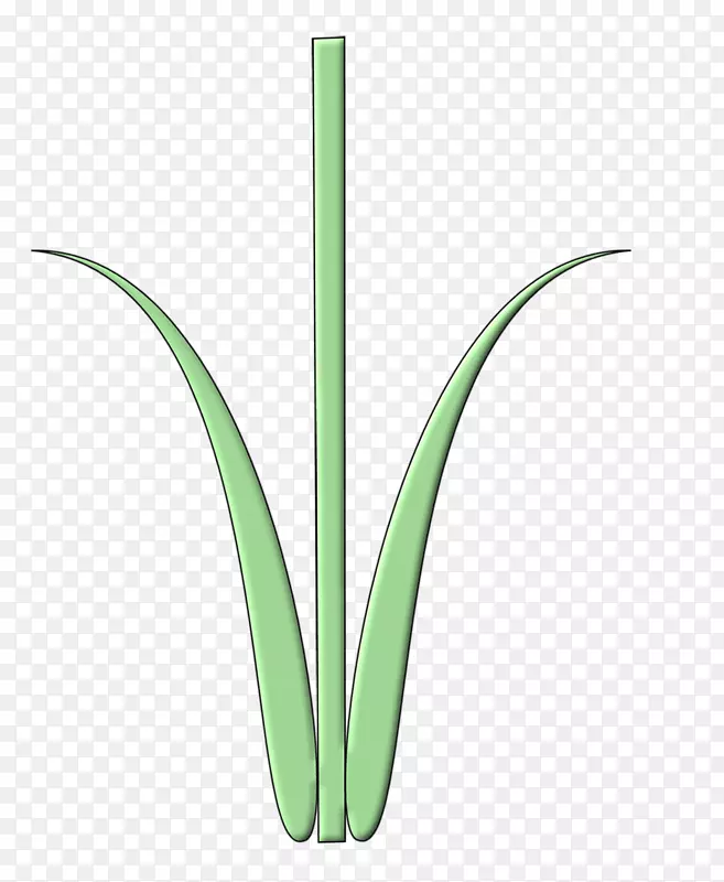 �ݱ�ֲ�ﾥҶ�̲�-������