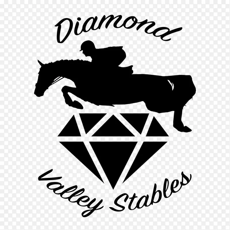 ��ʯ����ͼ����ʯ�鱦��ָ��������-������