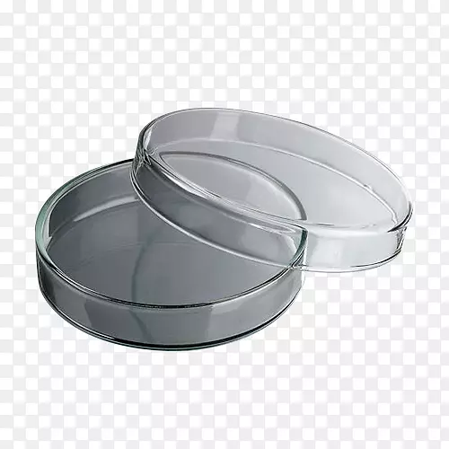 ʵ���Ҳ�������в���-������