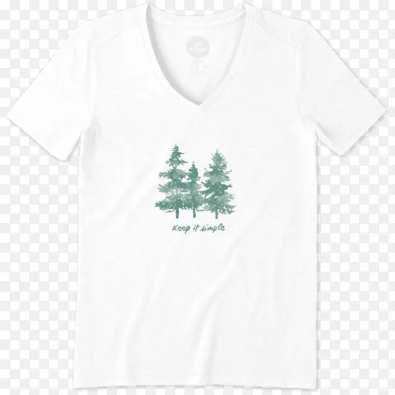 t�����ӱ�־����-t��-������