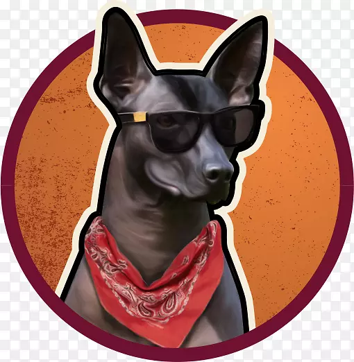 ����ֳ����ʳ�����Ϲ�-������